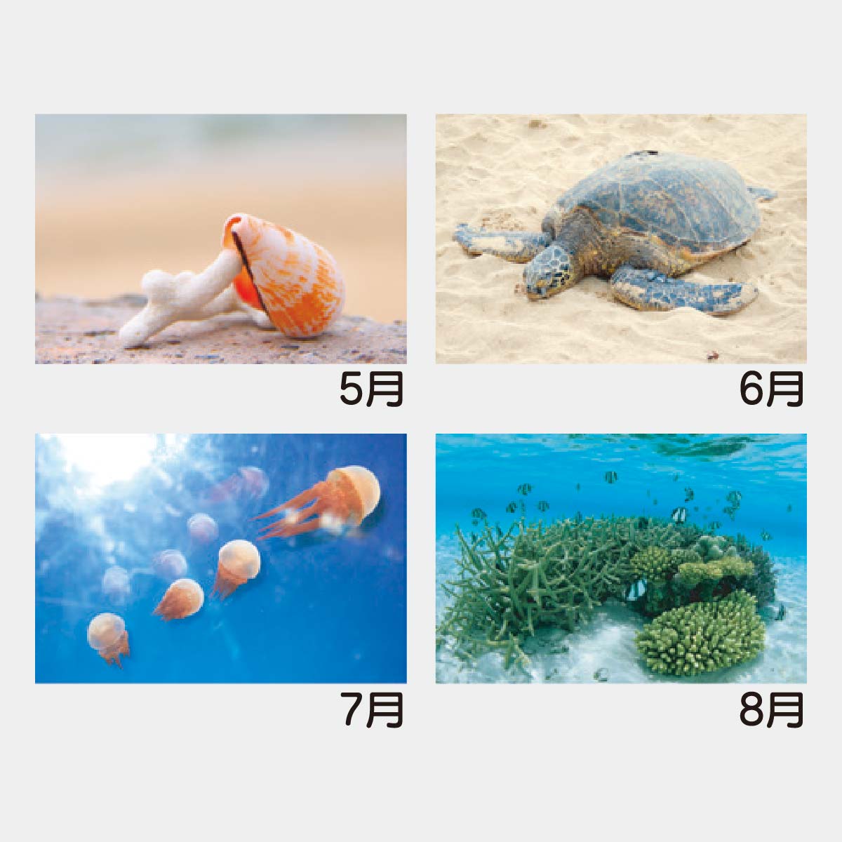 YK-1029 エコブルー