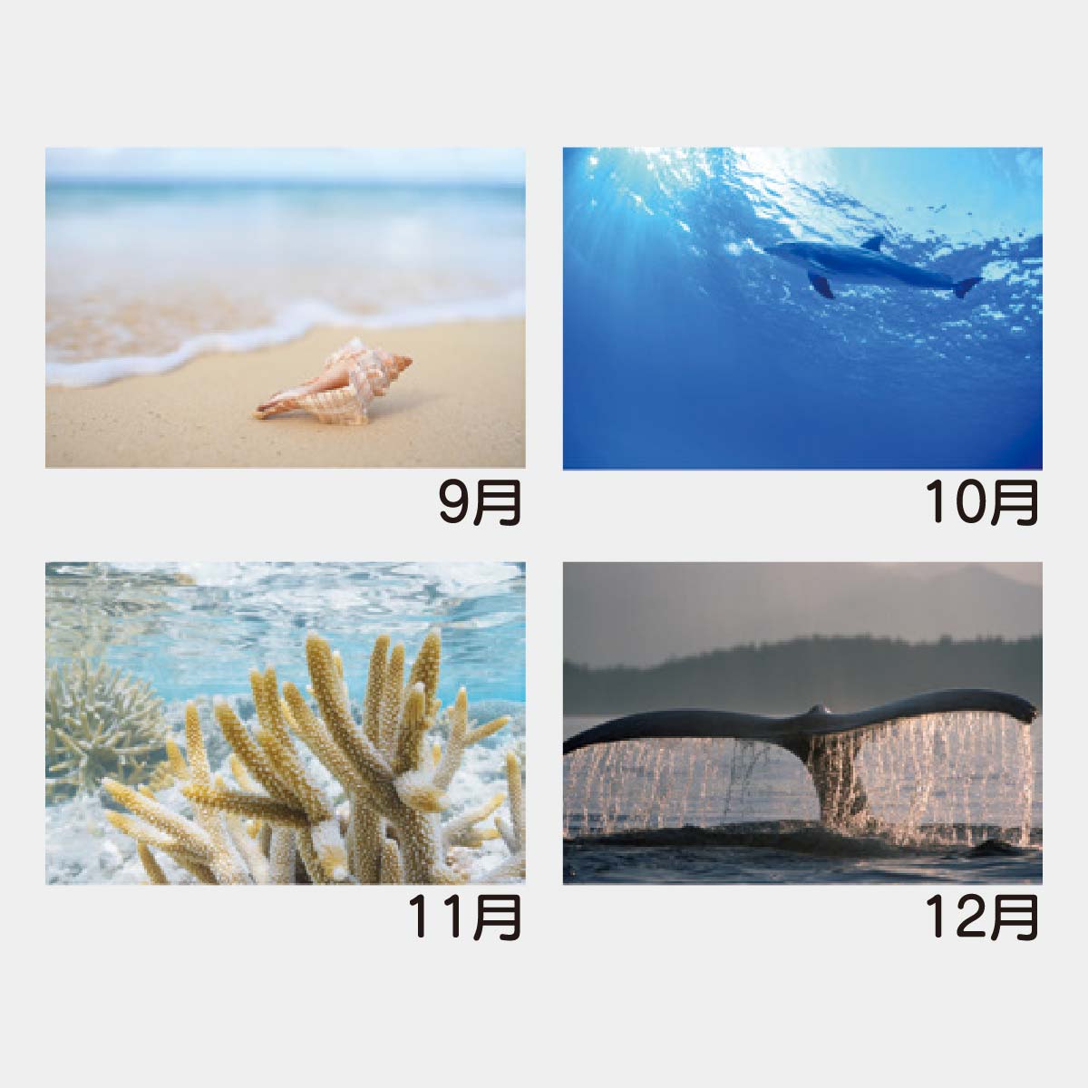 YK-1029 エコブルー