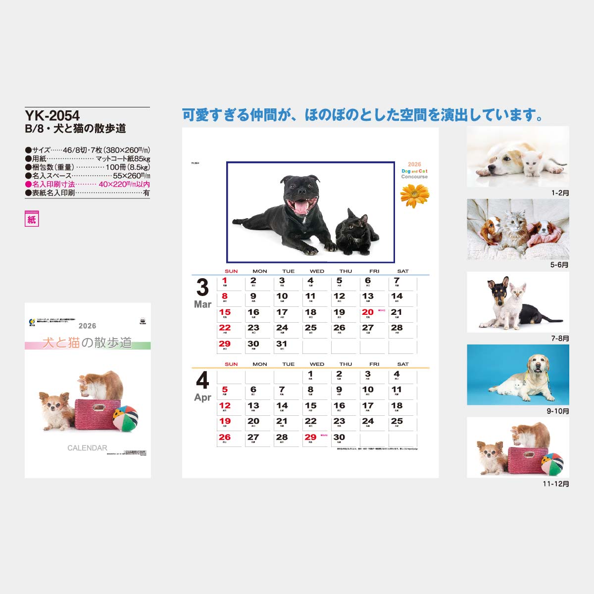 Yk 54 B8 犬と猫の散歩道 22年版の名入れカレンダーを格安で販売 名入れカレンダー印刷 Com Yk 54 B8 犬と猫の散歩道 22年版の名入れカレンダーを格安で販売 名入れカレンダー印刷 Com