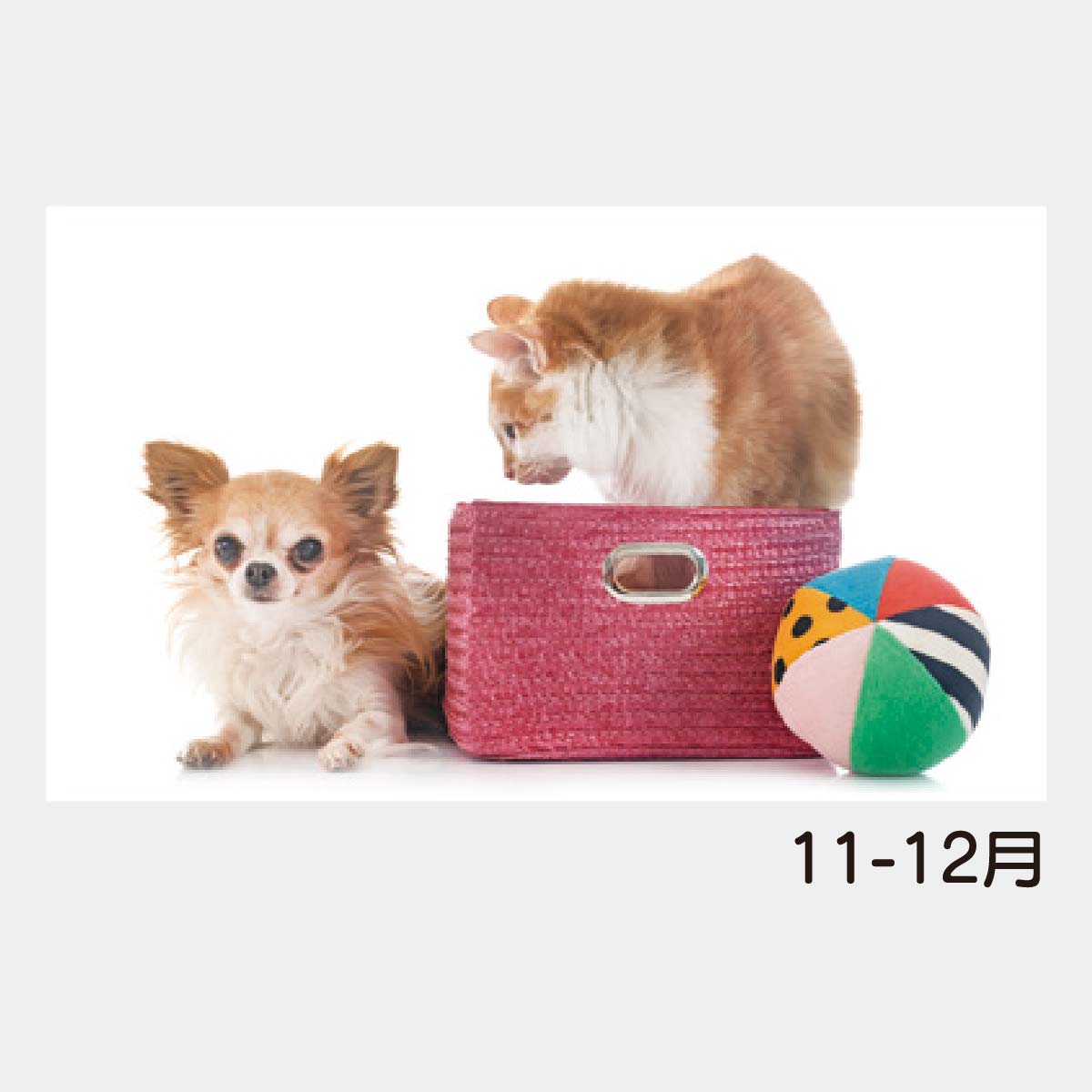 YK-2054 B8 犬と猫の散歩道2026年版の名入れカレンダーを格安で