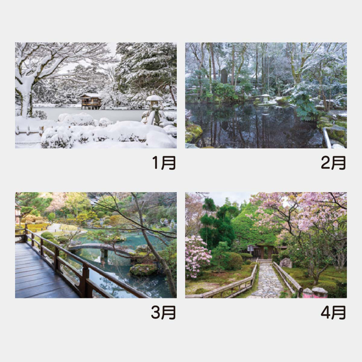 YK-501 ジャンボ･庭