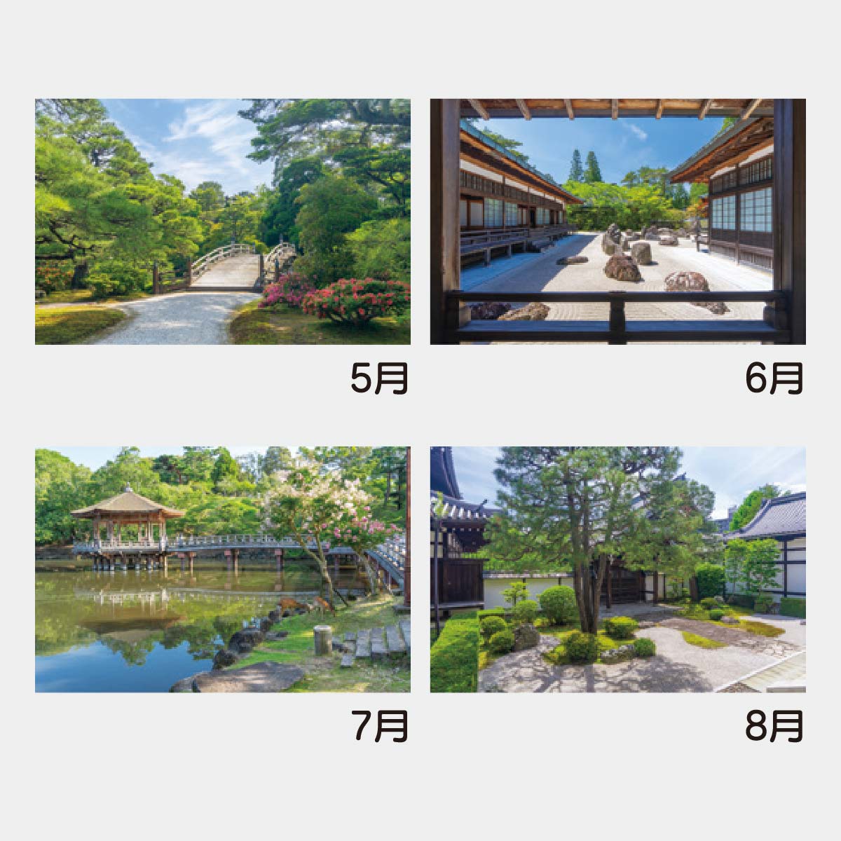 YK-501 ジャンボ･庭