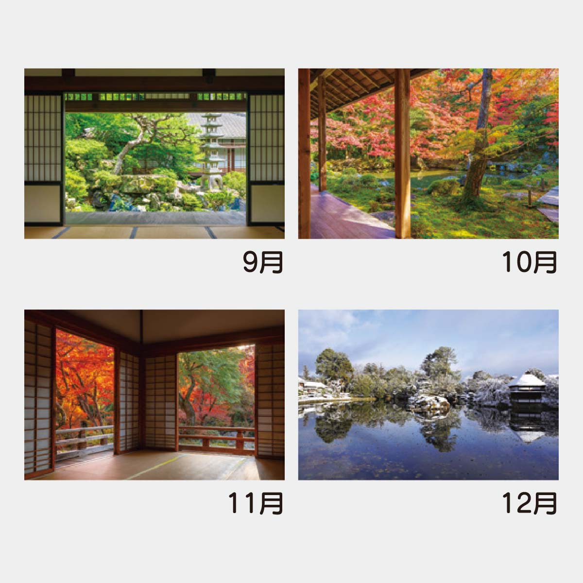 YK-501 ジャンボ･庭