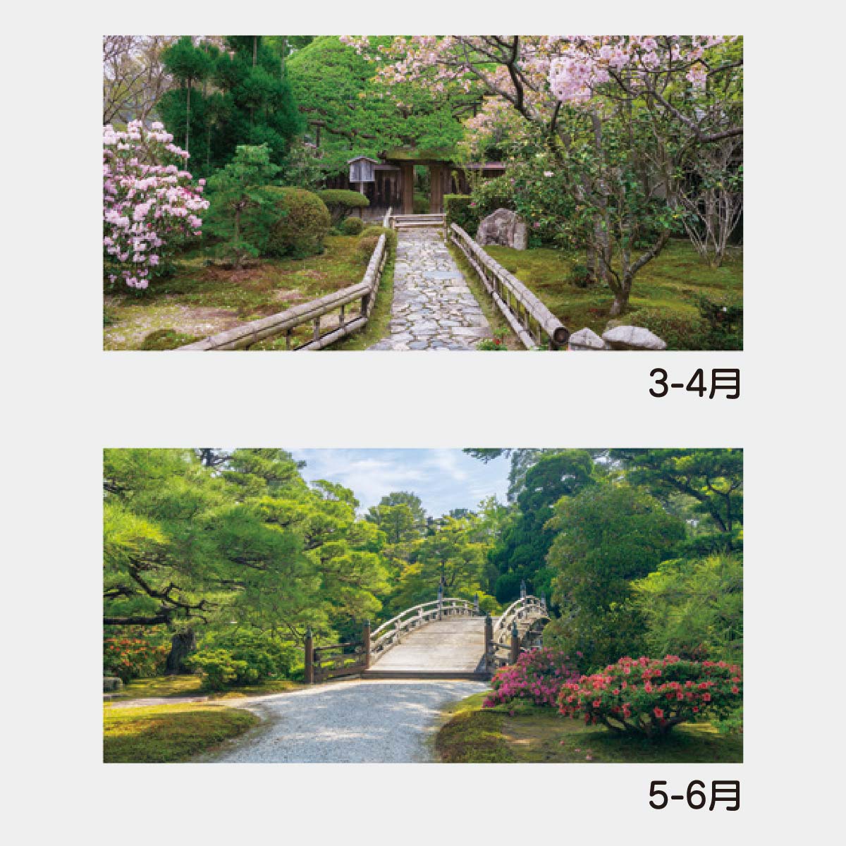 YK-713 静苑〔メモ付〕