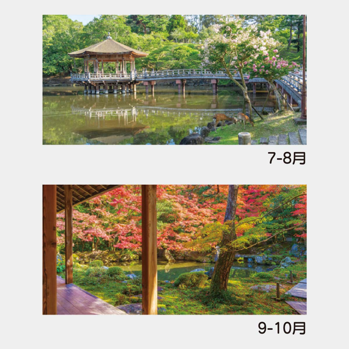 YK-713 静苑〔メモ付〕