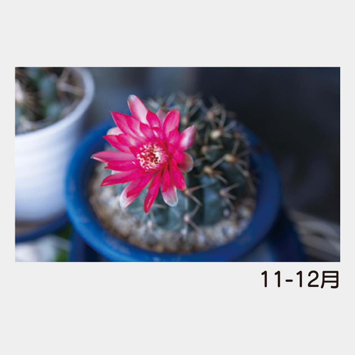 YK-725 カラフルフラワー