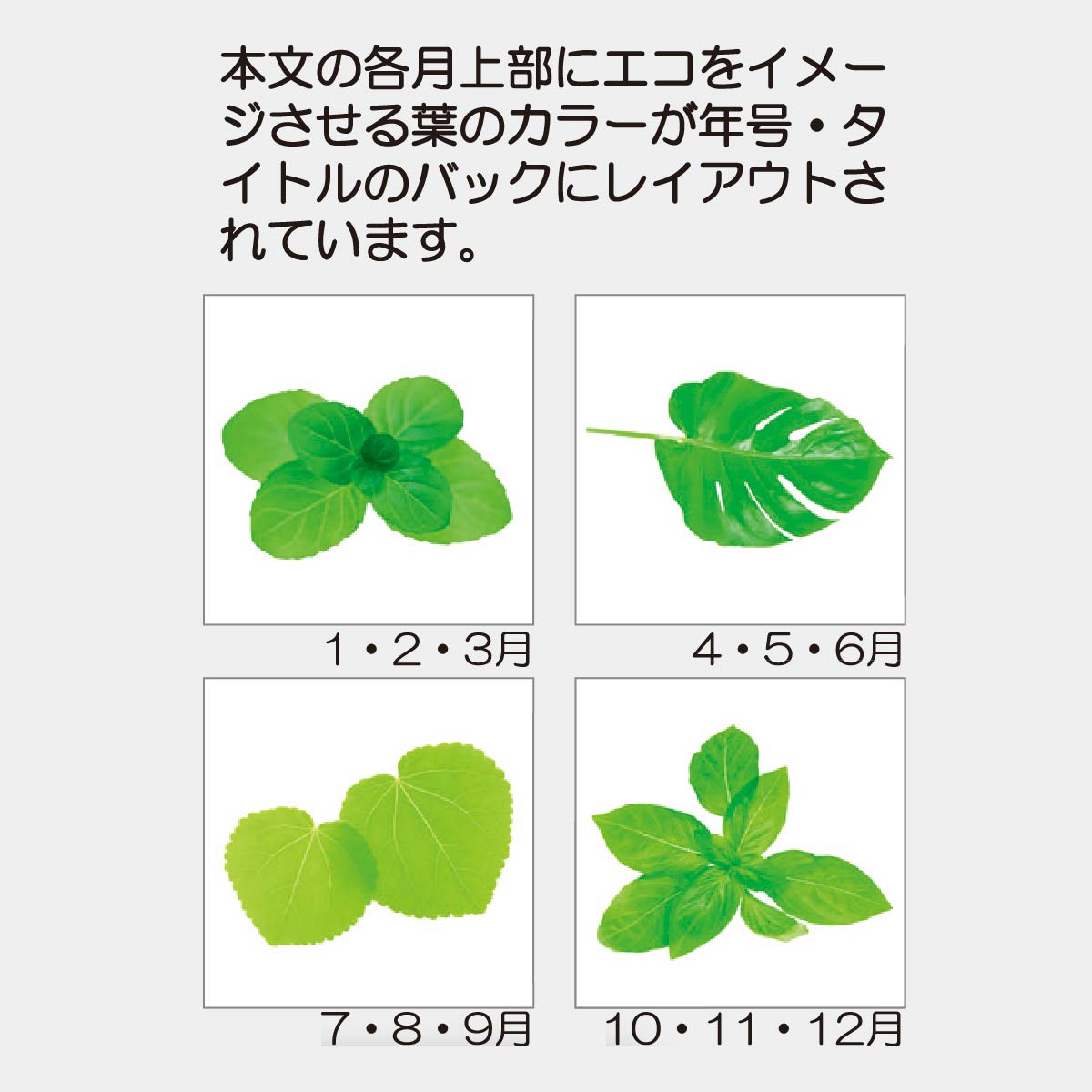 YK-752 ピース（３カ月）