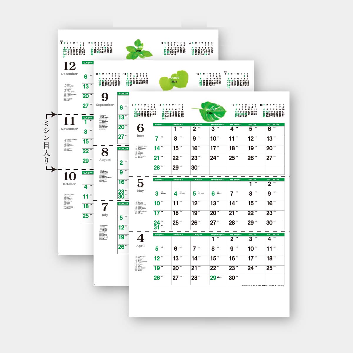 YK-752 ピース（３カ月）