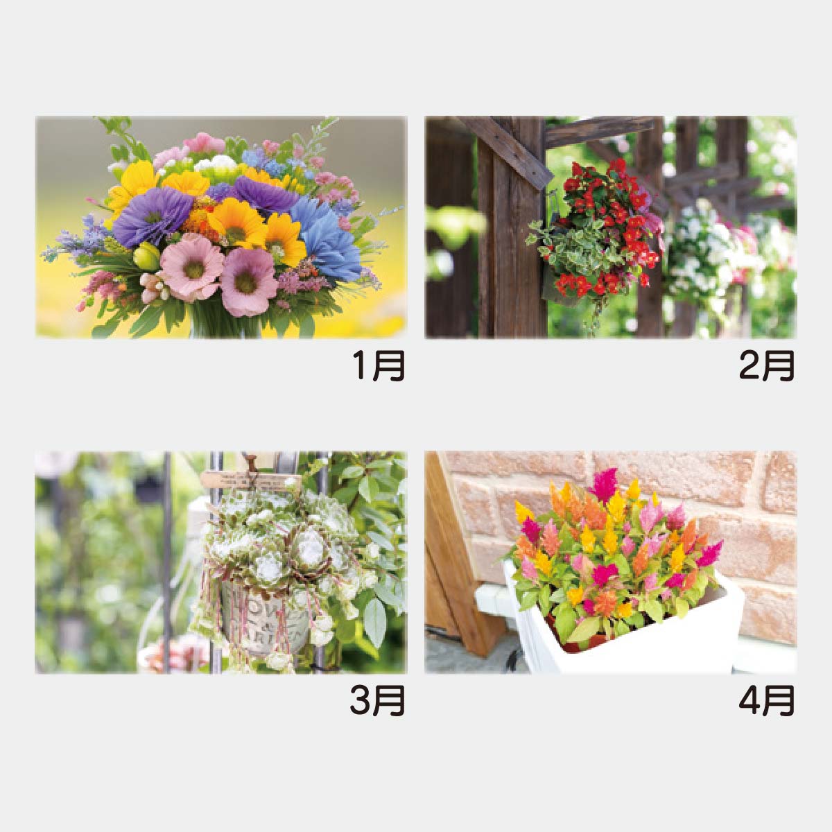 YK-823 カラフルガーデン