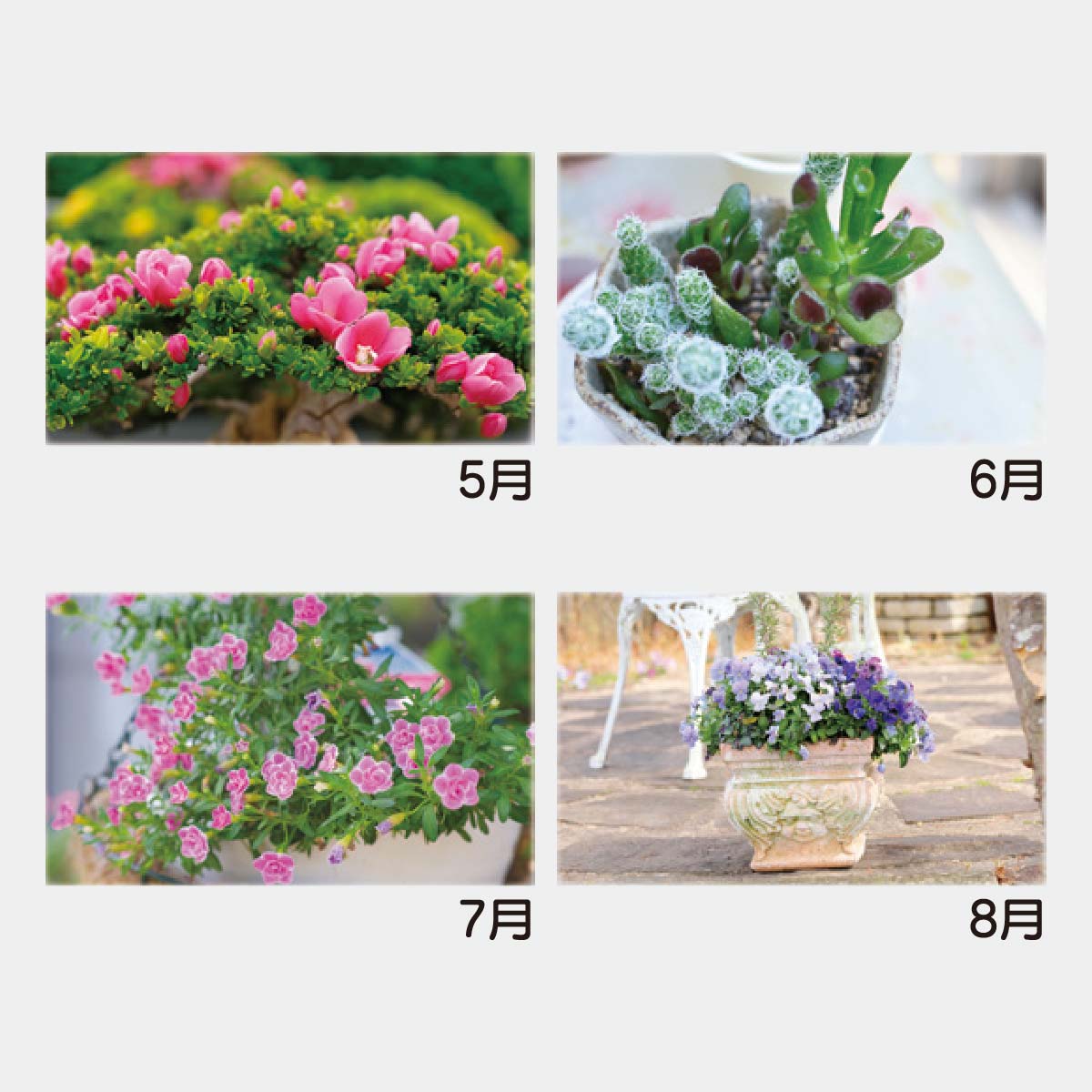 YK-823 カラフルガーデン