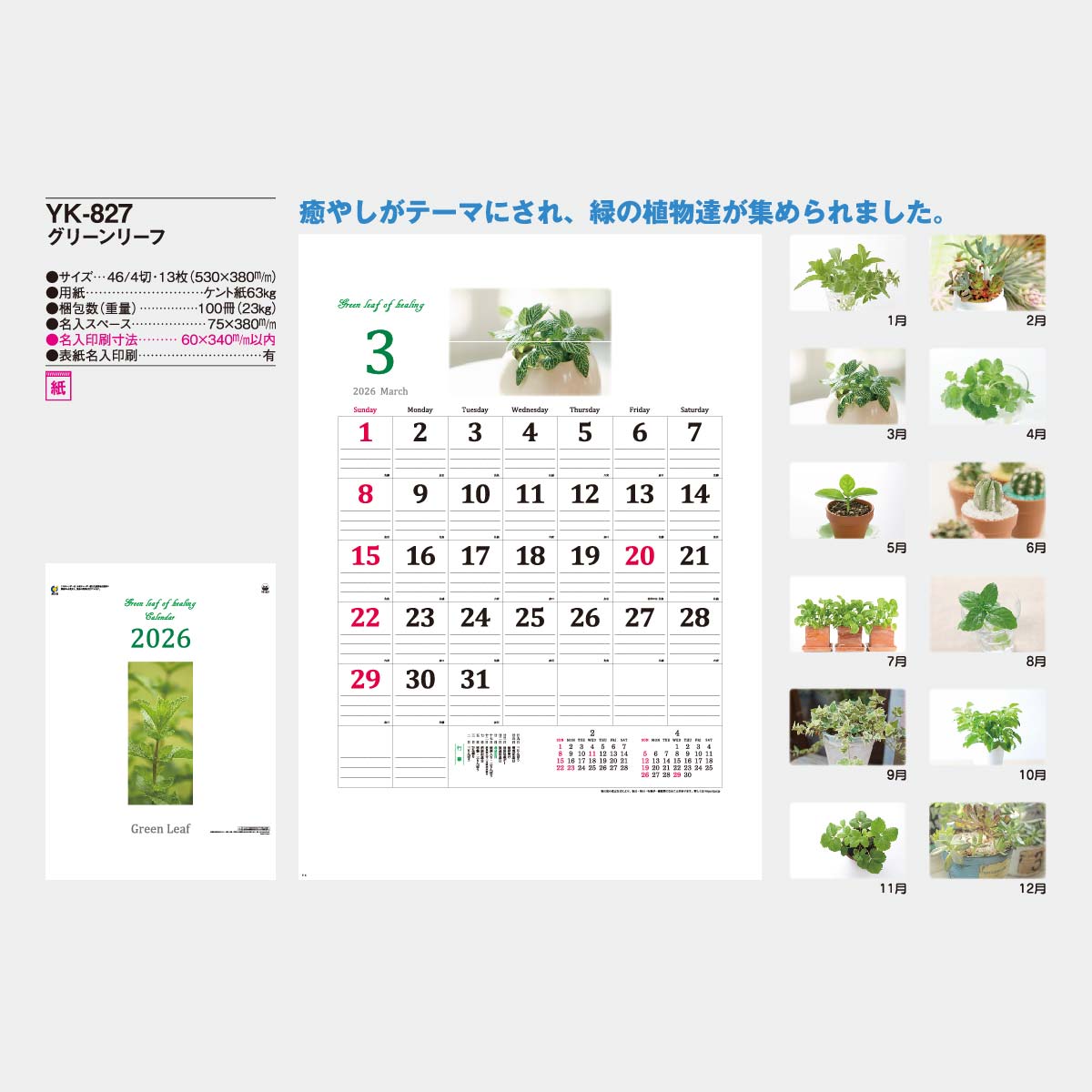 YK-827 グリーンリーフ