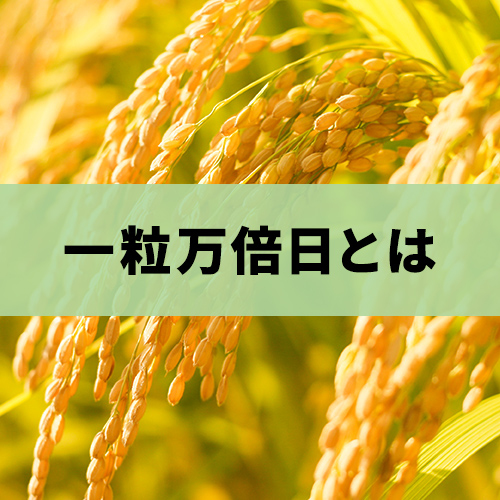 一粒万倍日とは